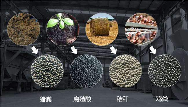 鸡粪有机肥成品颗粒
